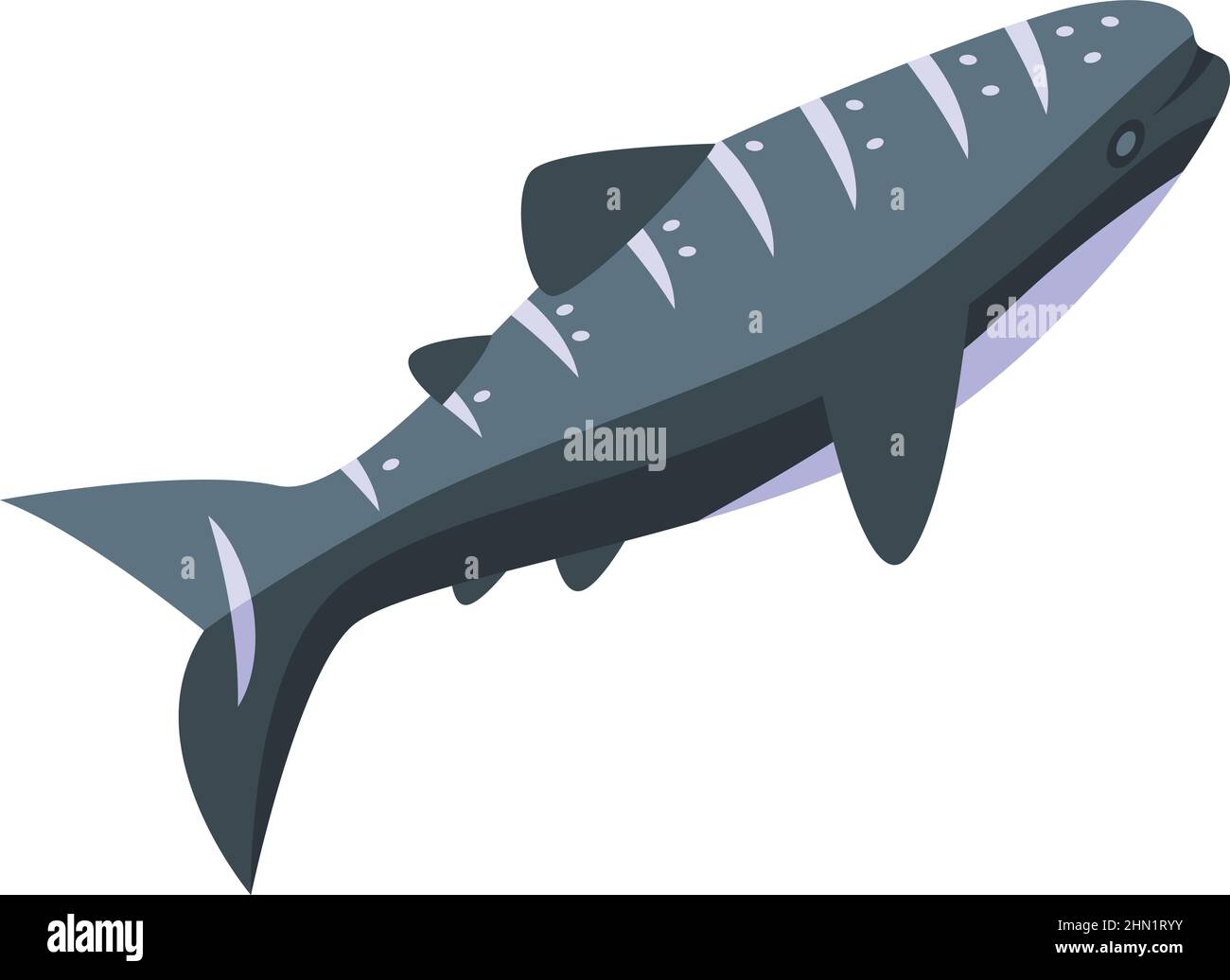 Ocean whale shark icon isometric vector. Aquarium fish. Anima marine Stock Vector