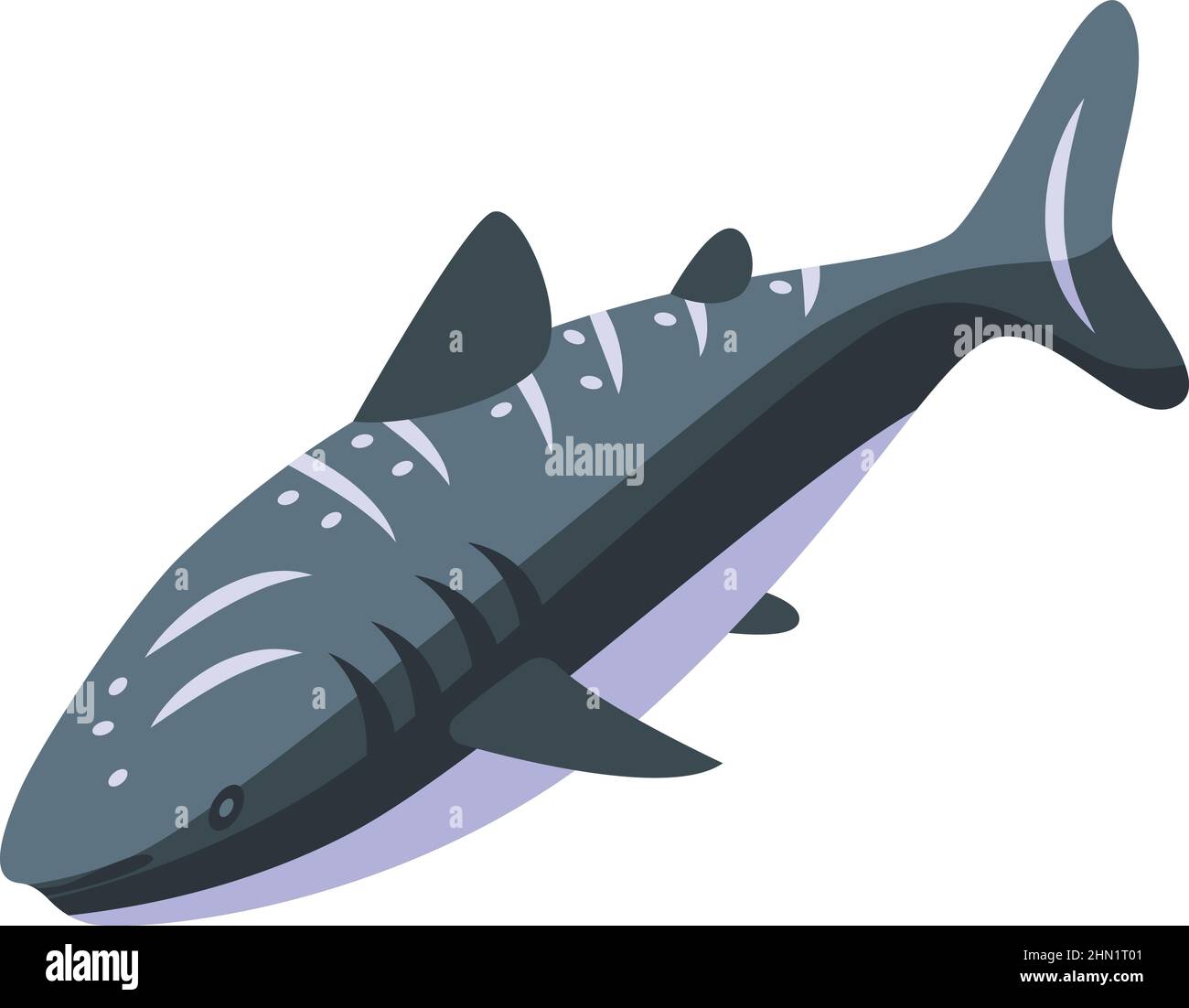Aquarium whale shark icon isometric vector. Marine species. Ocean fish Stock Vector
