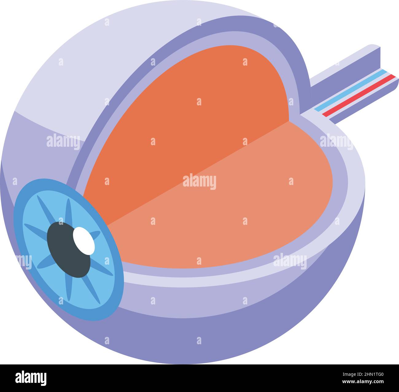 Eyeball perception icon isometric vector. Visual memory. Optical ...