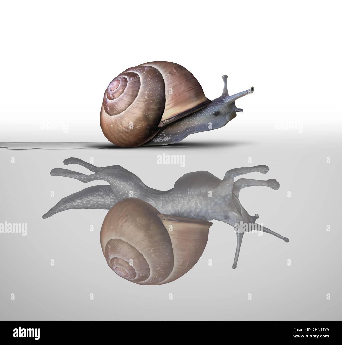 Potential metaphor and inner power concept as a symbol for motivational feeling and the power within as a slow snail with a reflection. Stock Photo