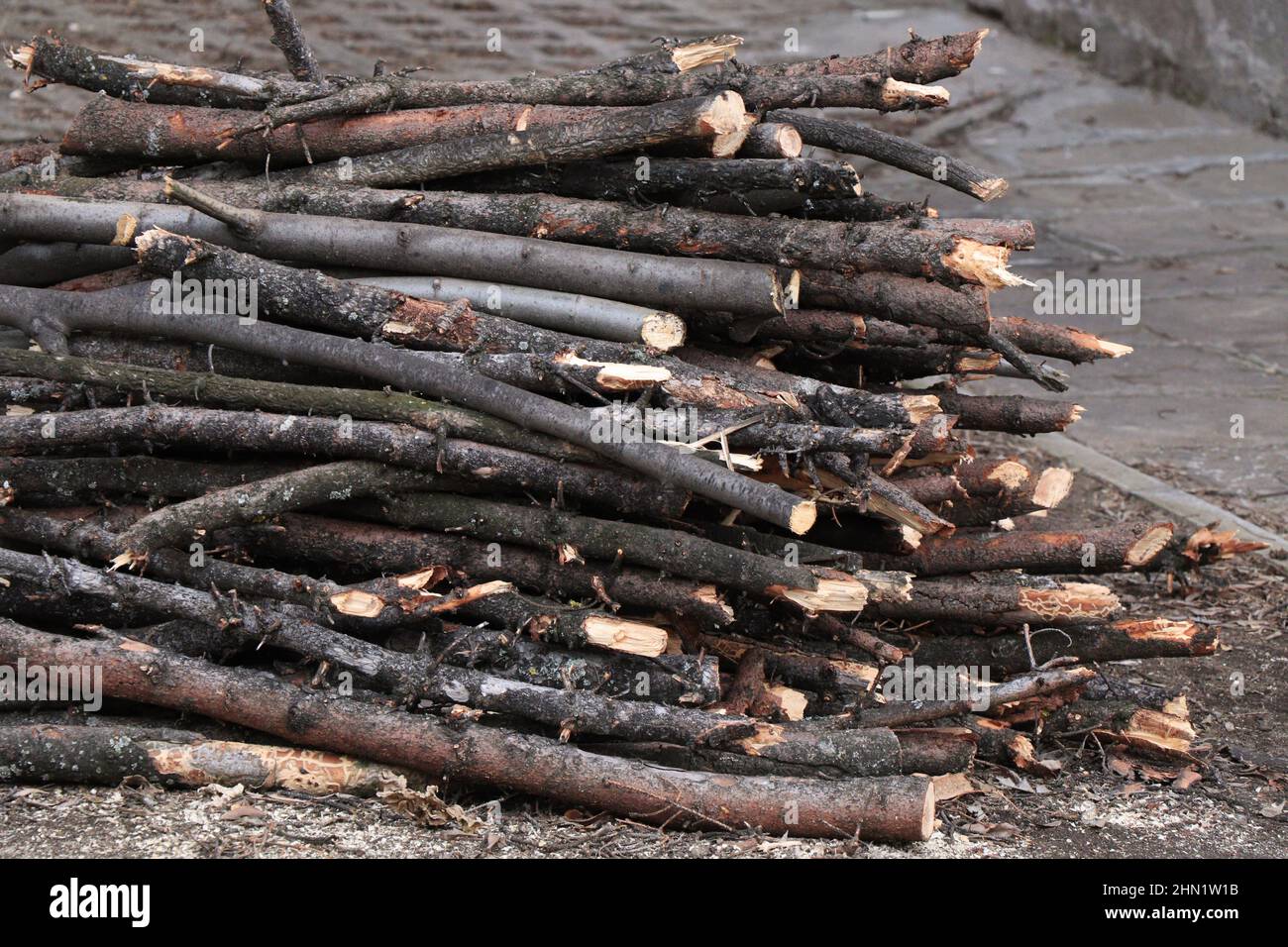Firewoods. Cherry tree logs Stock Photo Alamy