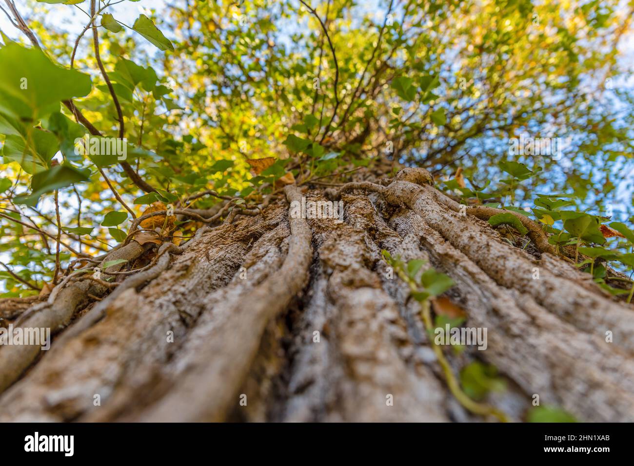 Form close up grungy hi-res stock photography and images - Alamy