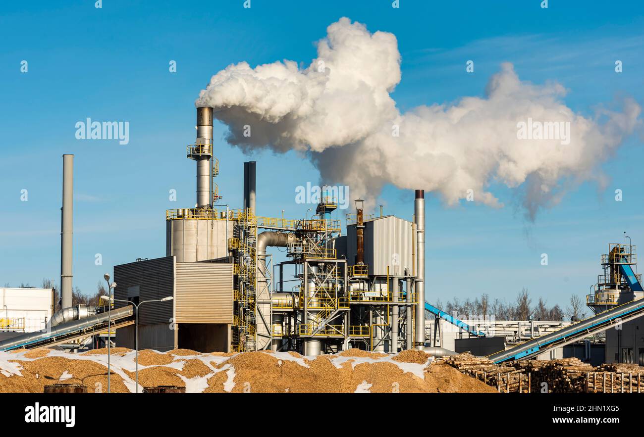 Wood processing plant. Furniture production. Industry. Environmental problems in the world