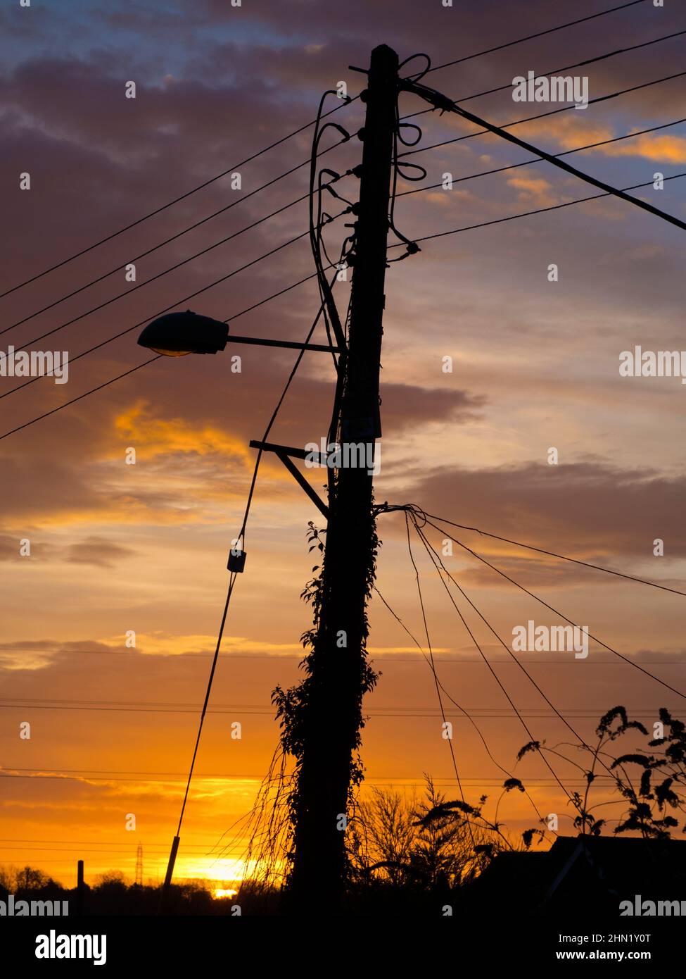 Overgrown street light in Radley Village at sunrise g1 Stock Photo Alamy