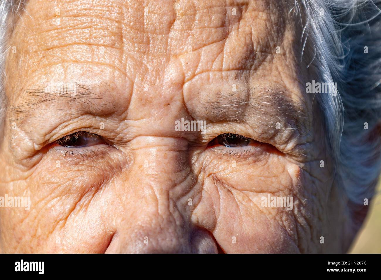 Close up view of an elderly woman in her 80s. Population aging problem concept Stock Photo