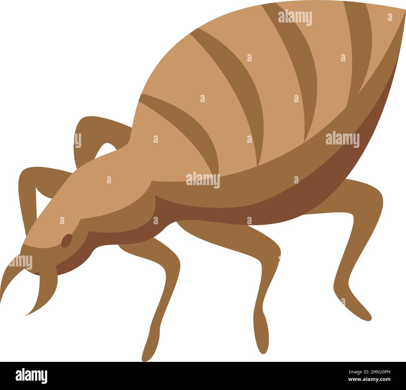 Bug icon isometric vector. Control pest. Chemical insect Stock Vector