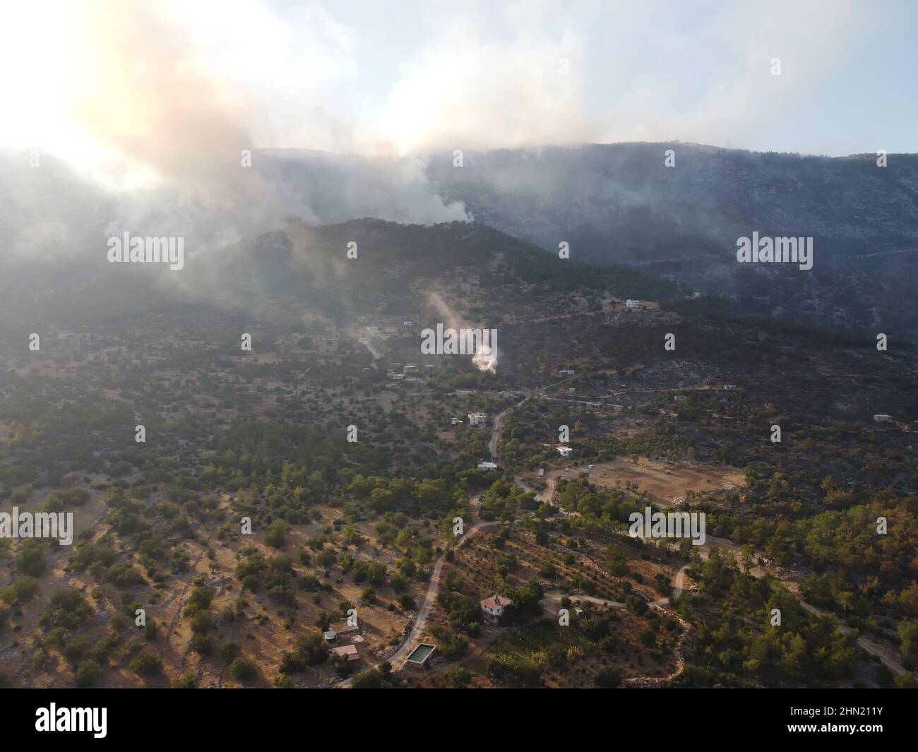 Forest Eith Rocks Aerial view burned forest hi-res stock photography and images - Alamy