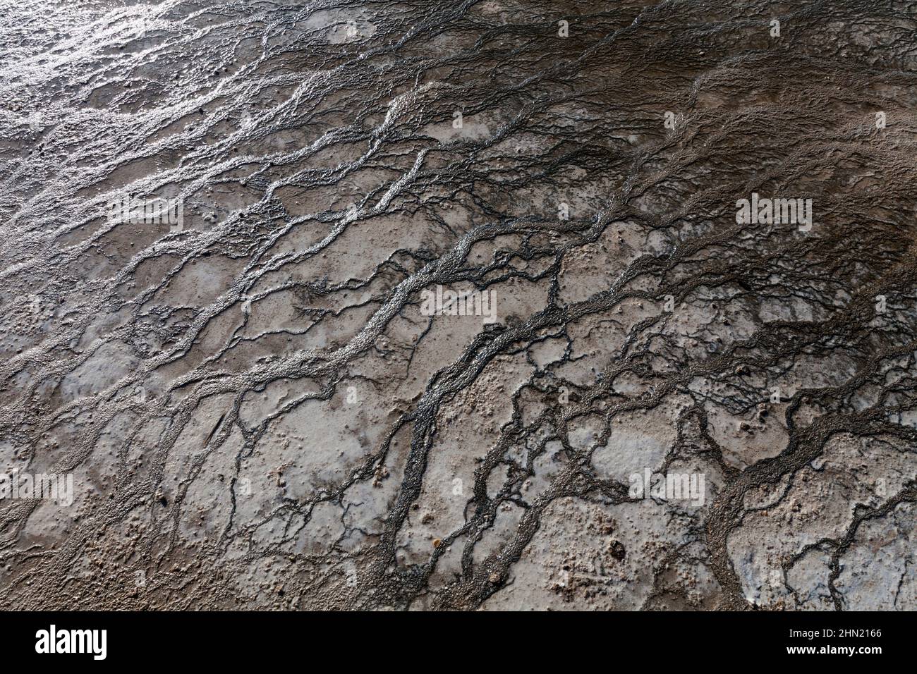 Bacterial mats in runoff water, Grand Prismatic Spring, Midway Geyser Basin, Yellowstone NP, Wyoming Stock Photo