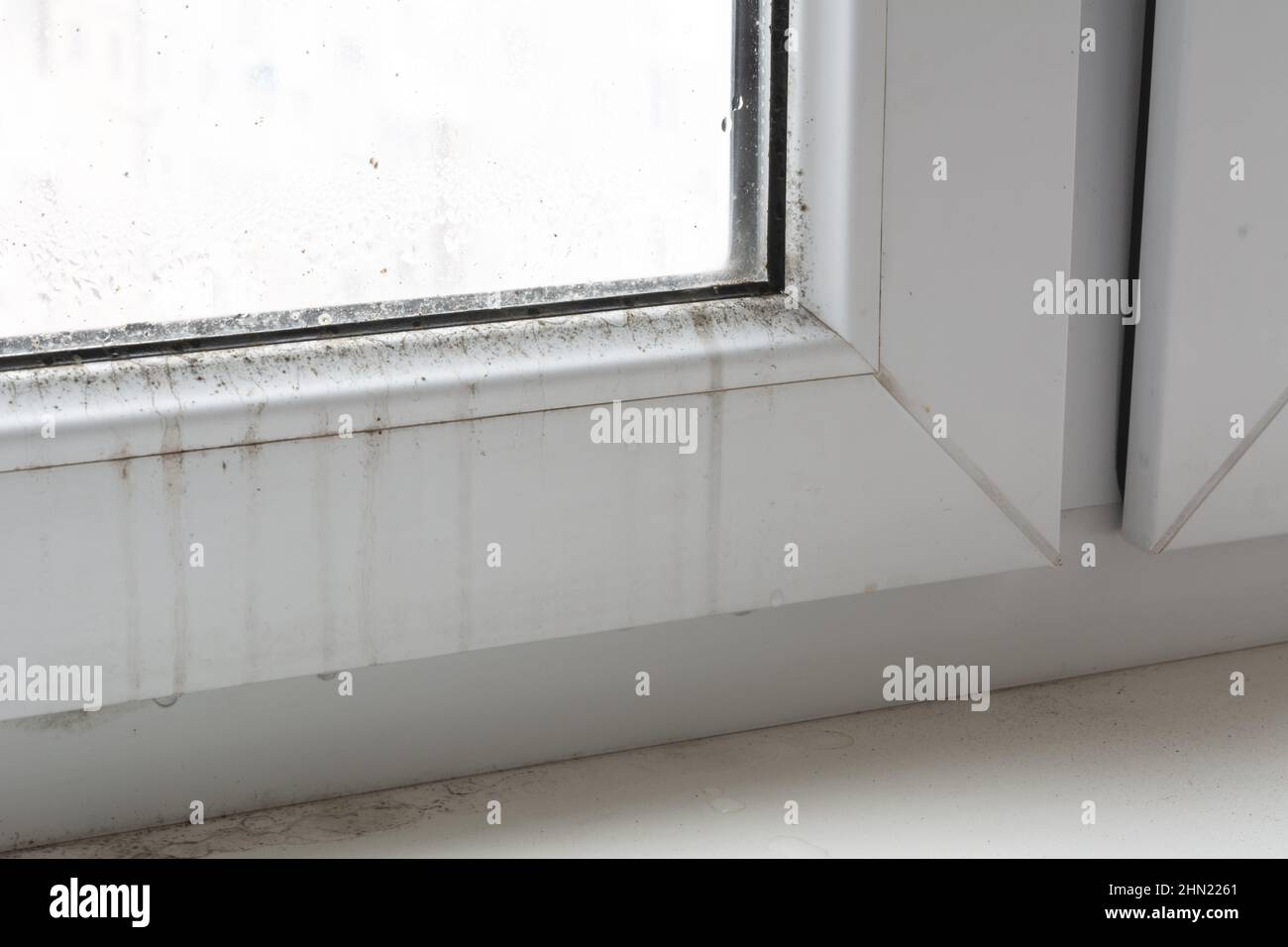 Poor quality windows. Due to poor ventilation, poor-quality installation of plastic windows caused the appearance of black fungus on the windows and w Stock Photo