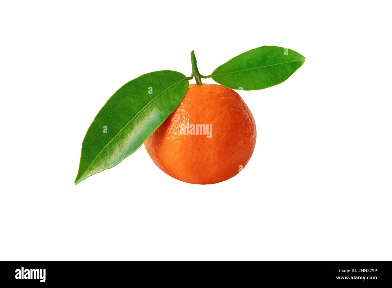 Mandarin orange or mandarine ripe fruit with green leaves isolated on white. Citrus reticulata. Stock Photo