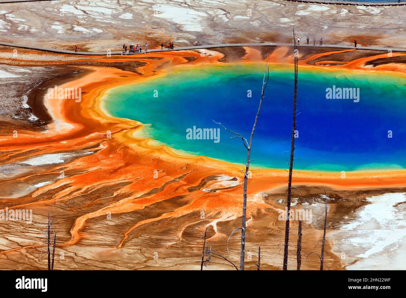 Grand Prismatic Spring, Midway Geyser Basin, Yellowstone NP, Wyoming,USA Stock Photo
