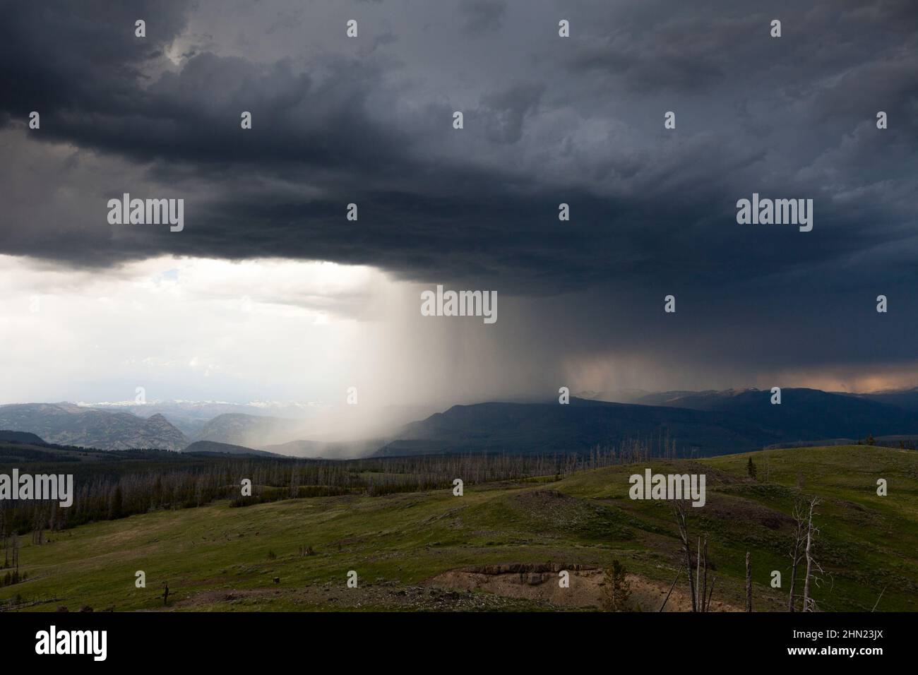 Dunraven Pass, thunderstorm in sunmmer, Dunraven Pass, Yellowstone NP, Wyoming, USA Stock Photo