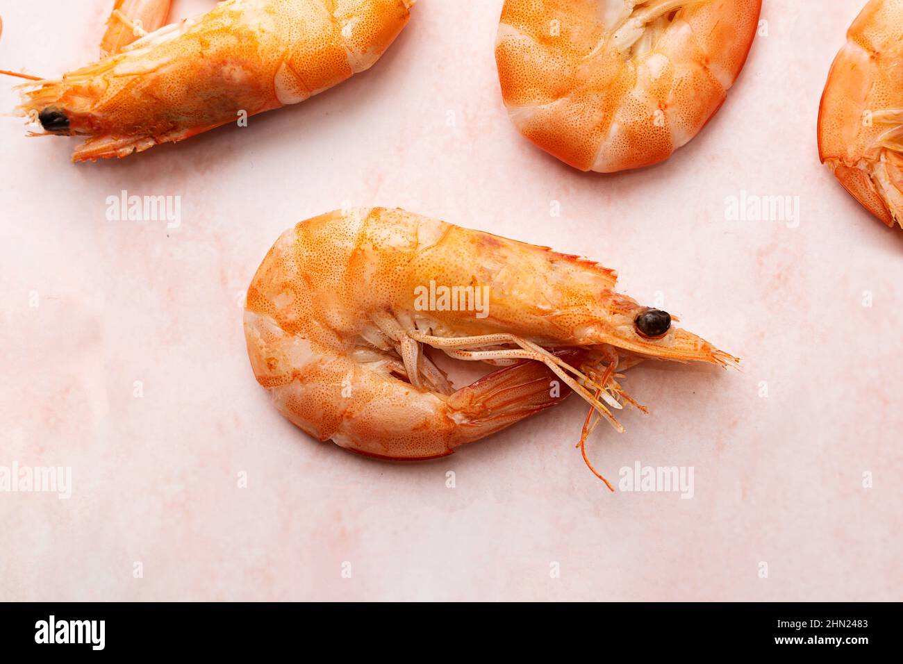 One boiled shrimp, cooked prawn on pink marble background, healthy seafood. Stock Photo