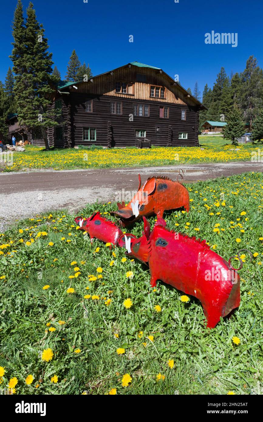 Wild Hogs, garden ornaments, Cooke City, Montana, Stock Photo