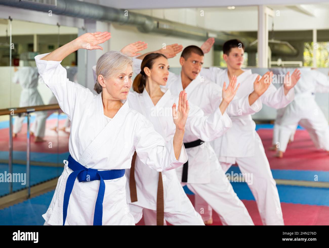 Aged woman practicing martial arts with group in gym Stock Photo Alamy
