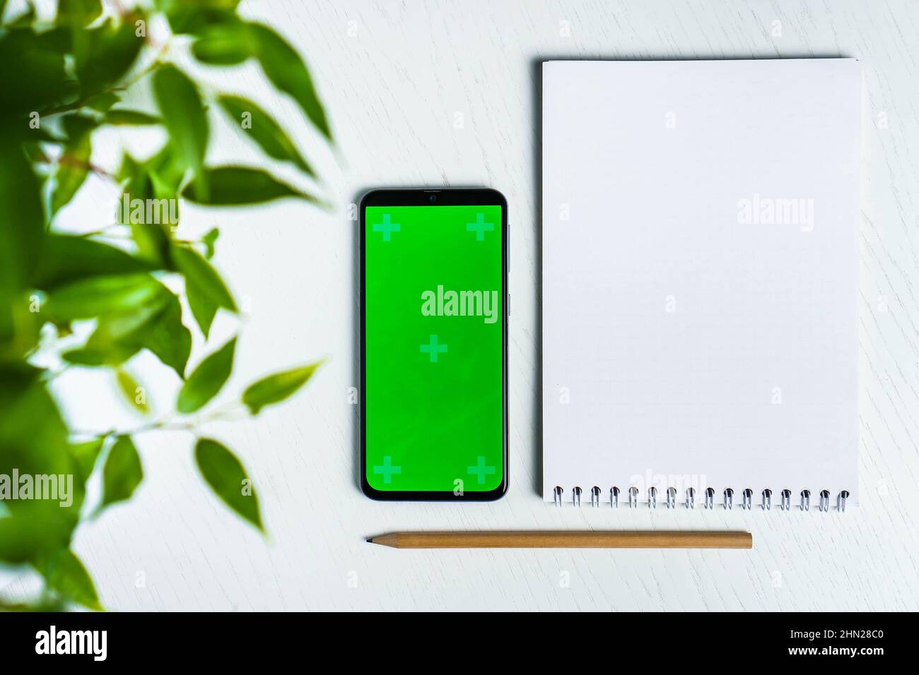 Green leave with blank notepad smartphone green screen mockup and pencil flat lay. Top view Stock Photo