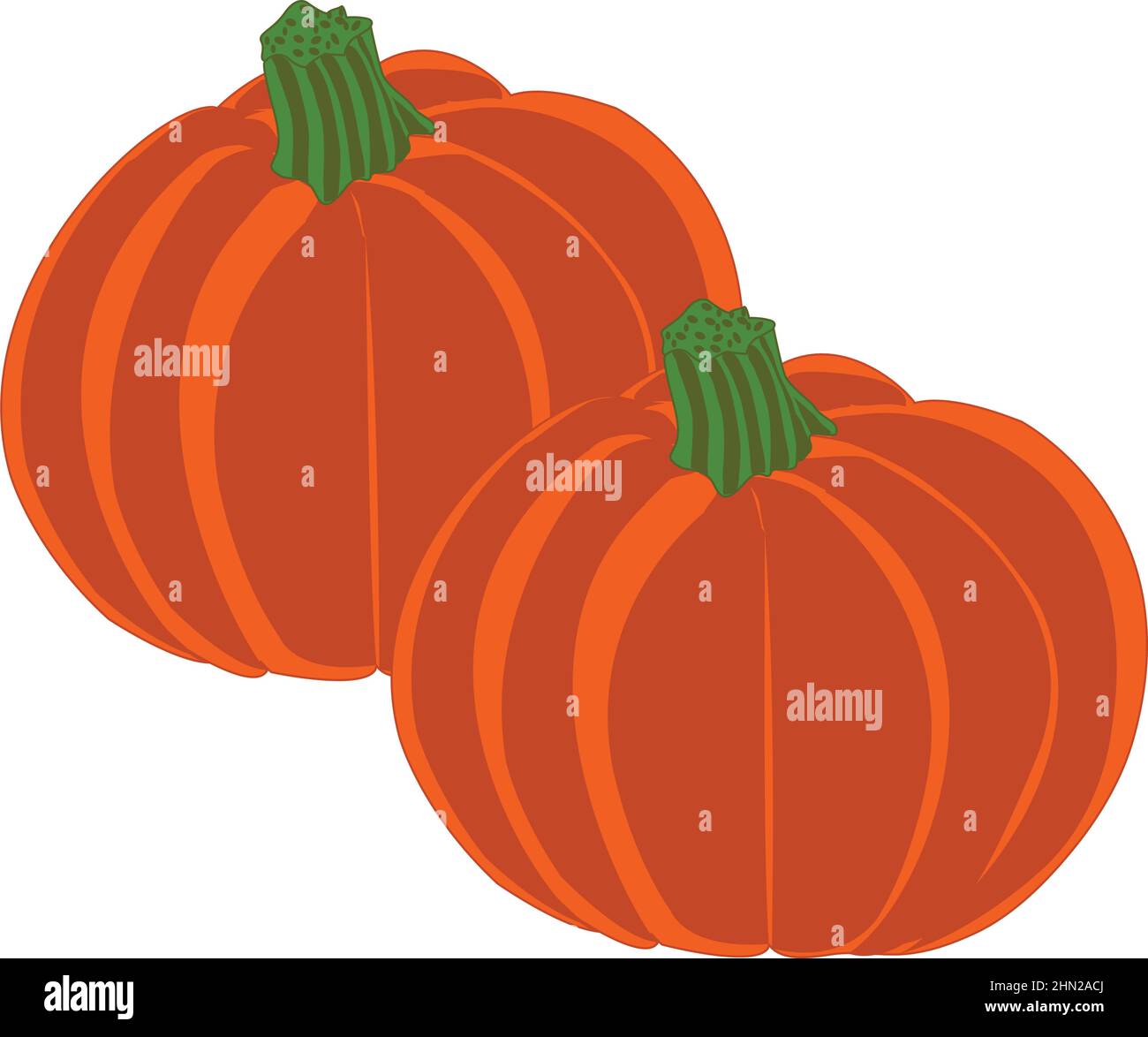 Pumpkins Vector Illustration Stock Vector Image & Art Alamy