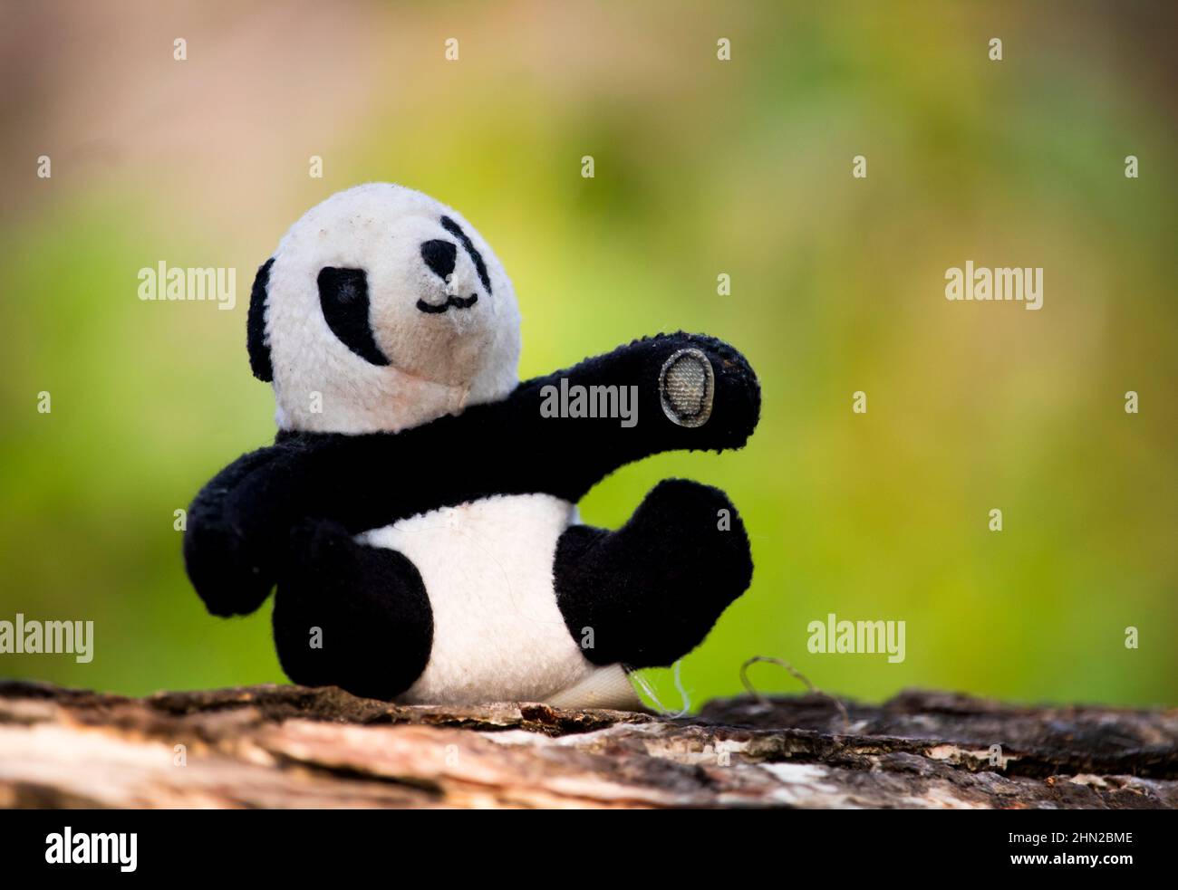 Panda teddy bear hi-res stock photography and images - Alamy