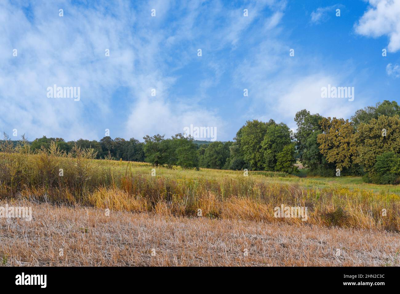 Green forest blue sky and part of argriculture field Stock Photo - Alamy