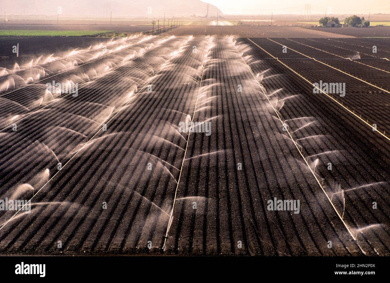 irrigation of crops in Oxnard California USA Stock Photo Alamy