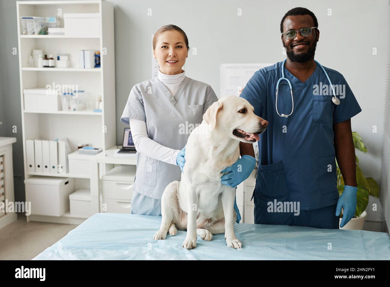 Two young cheerful intercultural veterinarians standing by medical table and touching labrador