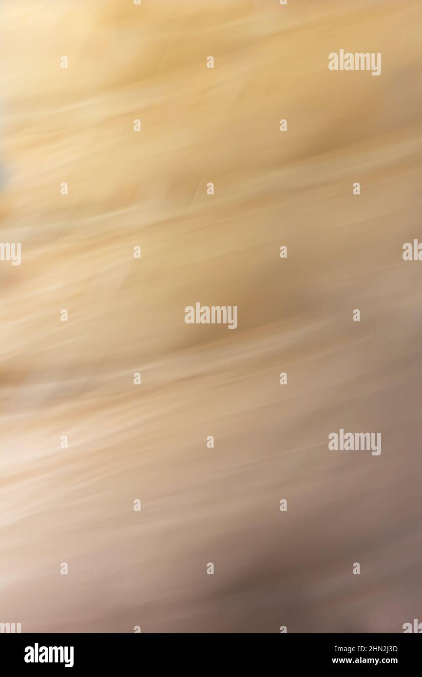Sandy gray background with small lines and diagonal waves. Vertical digital abstraction. Back. Stock Photo