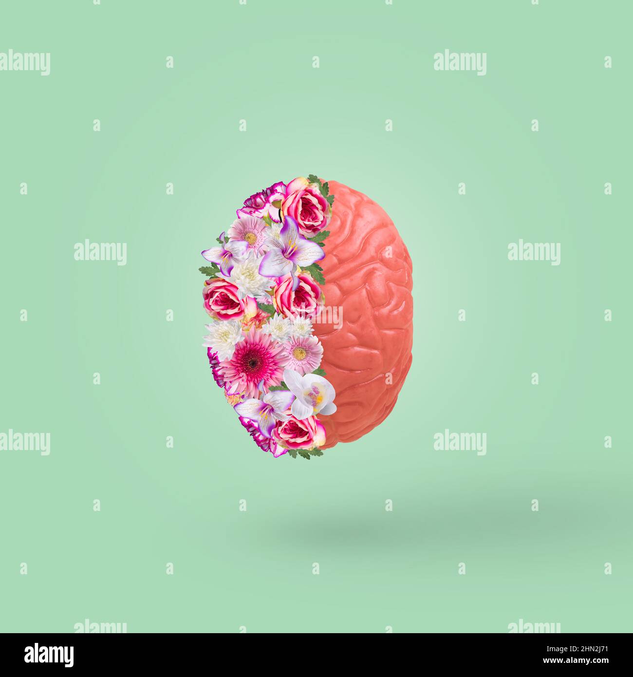 Creative idea with brain and colorful flowers isolated on a pastel green background. Minimal concept of calm, mental health, emotional wellness. Stock Photo
