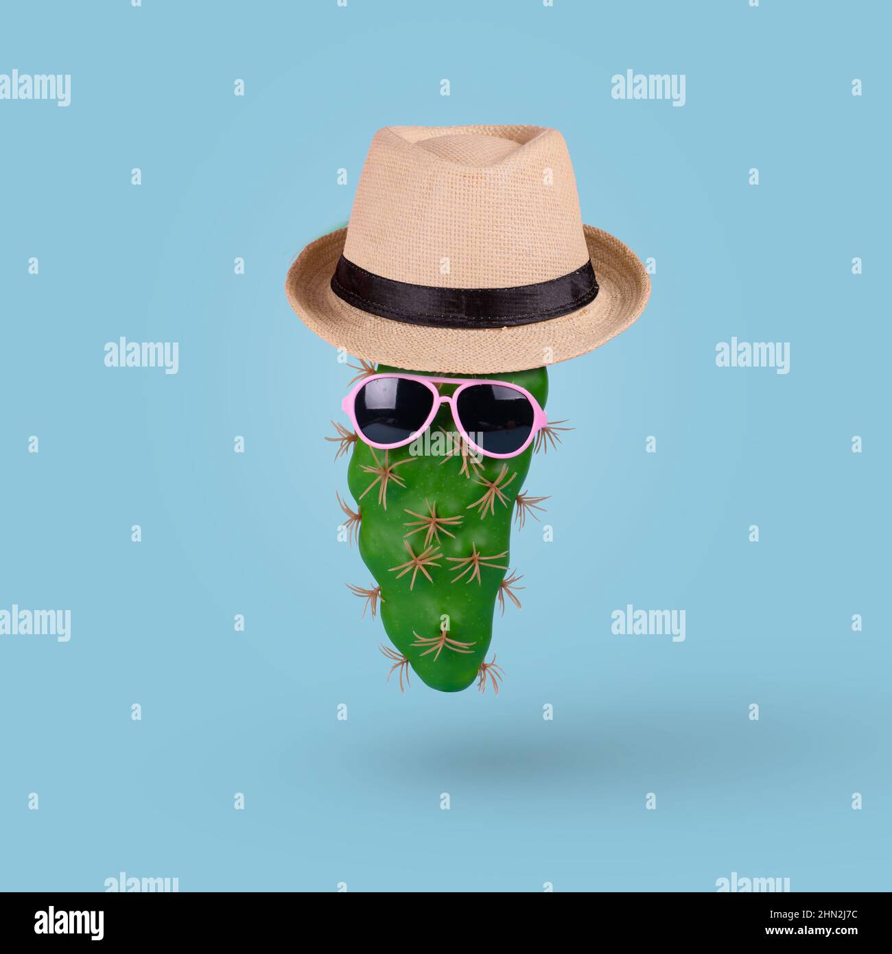 Green cactus in trendy sunglasses wearing hat on a blue background. Minimal Summer concept. Stock Photo