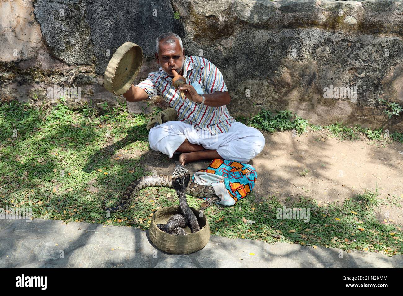 Traditional snake performance hi-res stock photography and images - Alamy