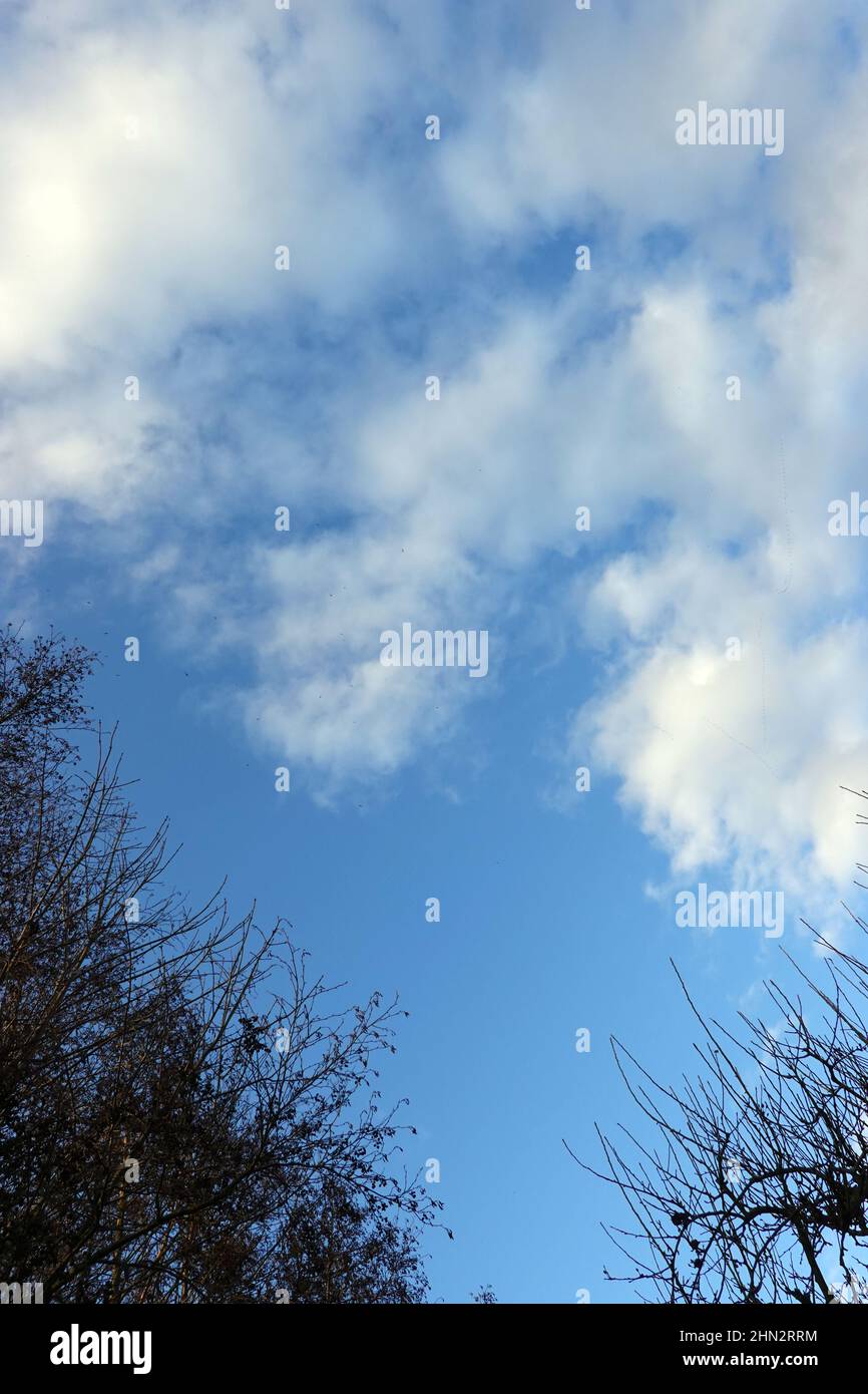 slight clouds in the blue sky Stock Photo Alamy