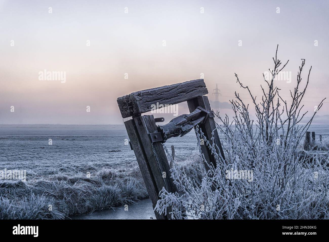 Winter landscape with frozen plant in a rural area Stock Photo - Alamy