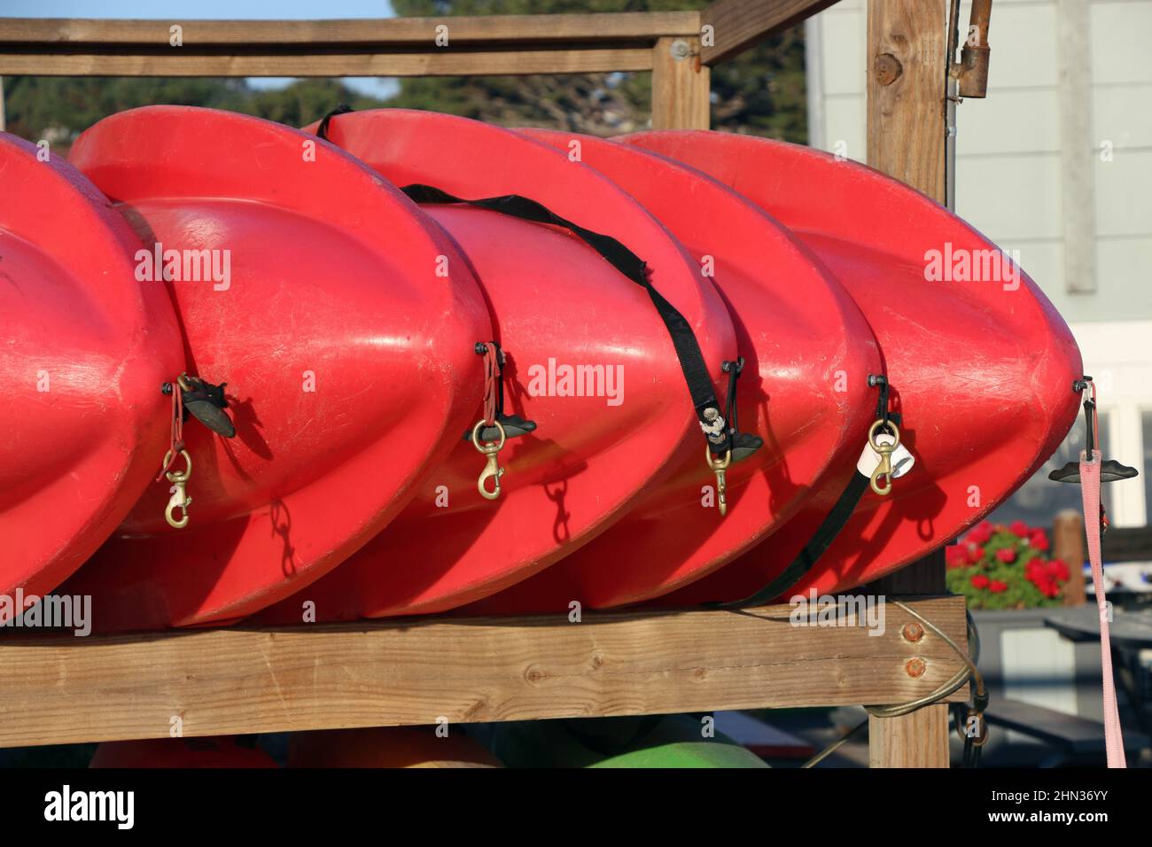 Bright red kayaks in a row, Monterey, CA. Stock Photo