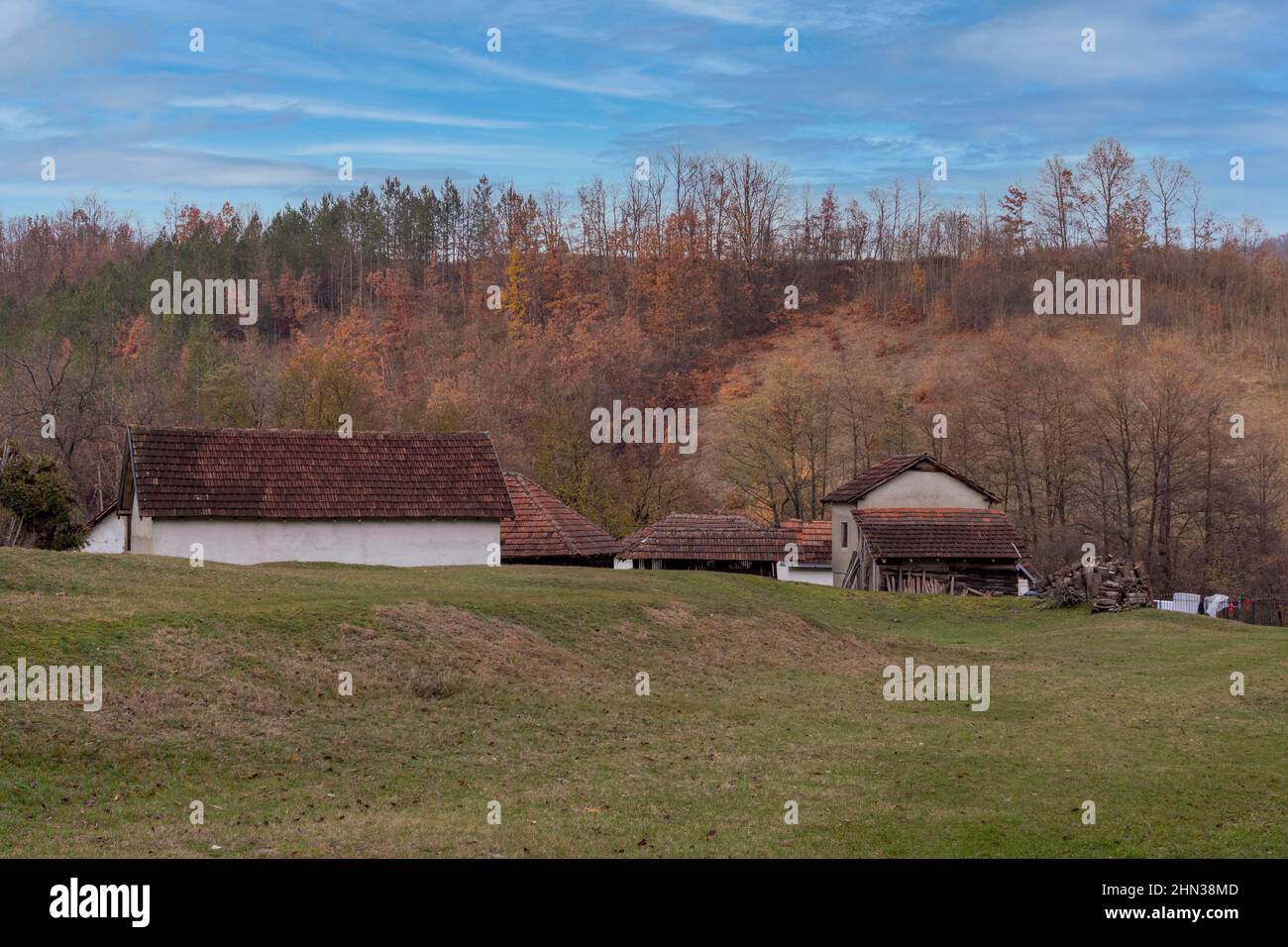Rural countryside houses on green lawn and trees forest Stock Photo - Alamy