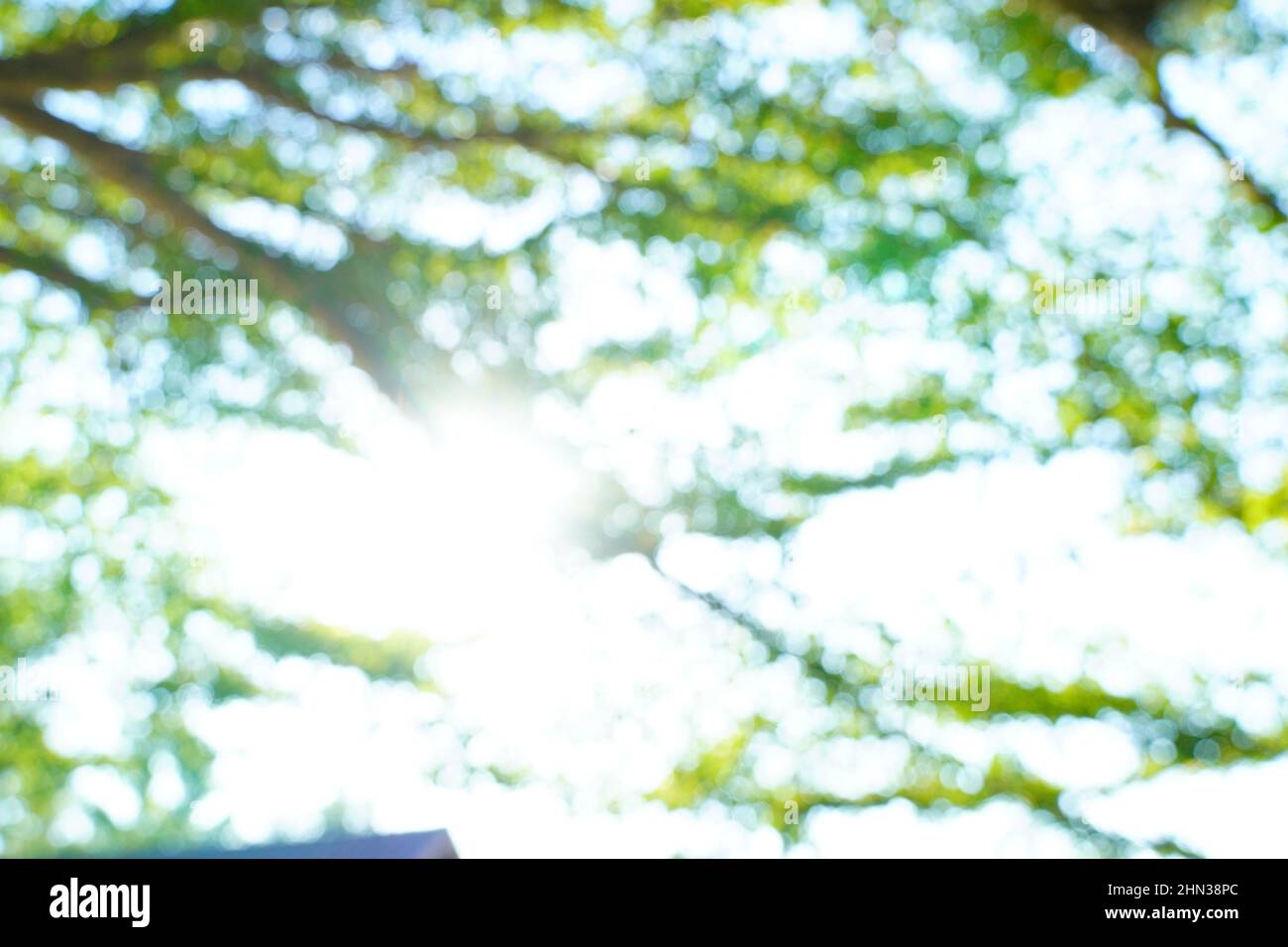 Blurred bokeh hi-res stock photography and images - Alamy