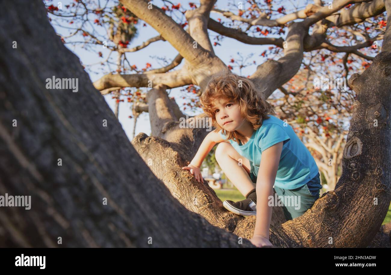 Kid boy sits on tree. Child sitting on a tree branch in summer park ...