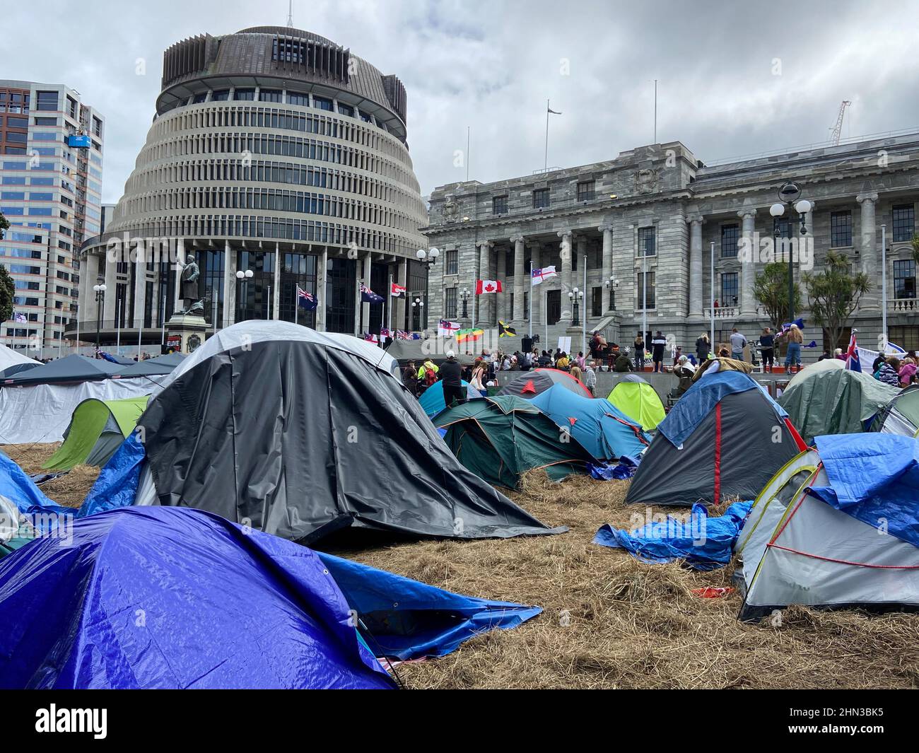 Protesters rally against coronavirus disease (COVID-19) restrictions and vaccine mandates as they camp in front of the parliament in Wellington, New Zealand, February 14, 2022. REUTERS/Praveen Menon Stock Photo