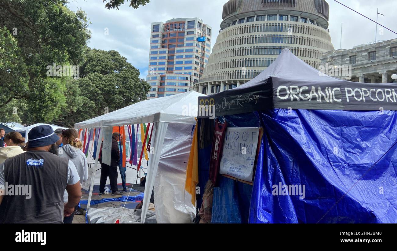Protesters against the coronavirus disease (COVID-19) restrictions and vaccine mandates camp in front of the parliament in Wellington, New Zealand, February 14, 2022. REUTERS/Praveen Menon Stock Photo