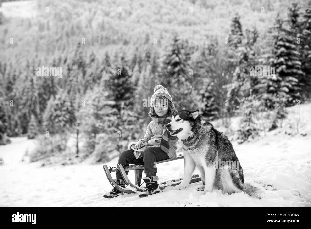 Little boy hug dog and having fun in the snow. Winter travel kid. Stock Photo