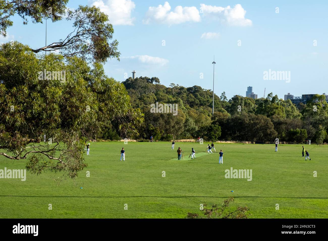 Young men playing cricket on the Ramsden Street oval in front of the Melbourne skyline in Clifton Hill, Melbourne, Victoria, Australia. Stock Photo