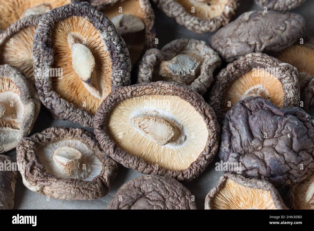 group of dried shiitake mushroom closeup selective focus Stock Photo