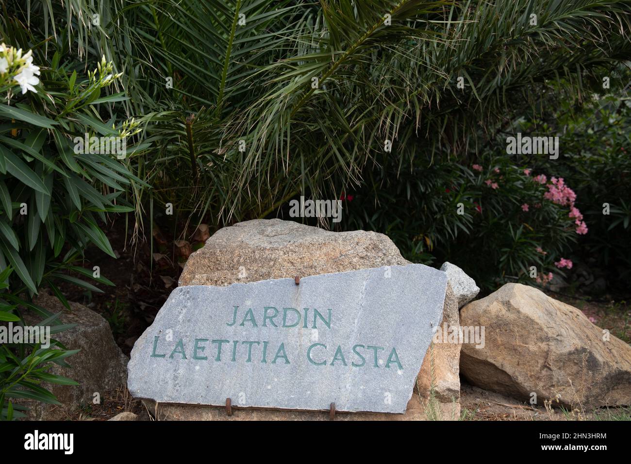 Flowers in Laetetitia  Casta garden in Lumio town in  Corsica on the mediterranean sea Stock Photo