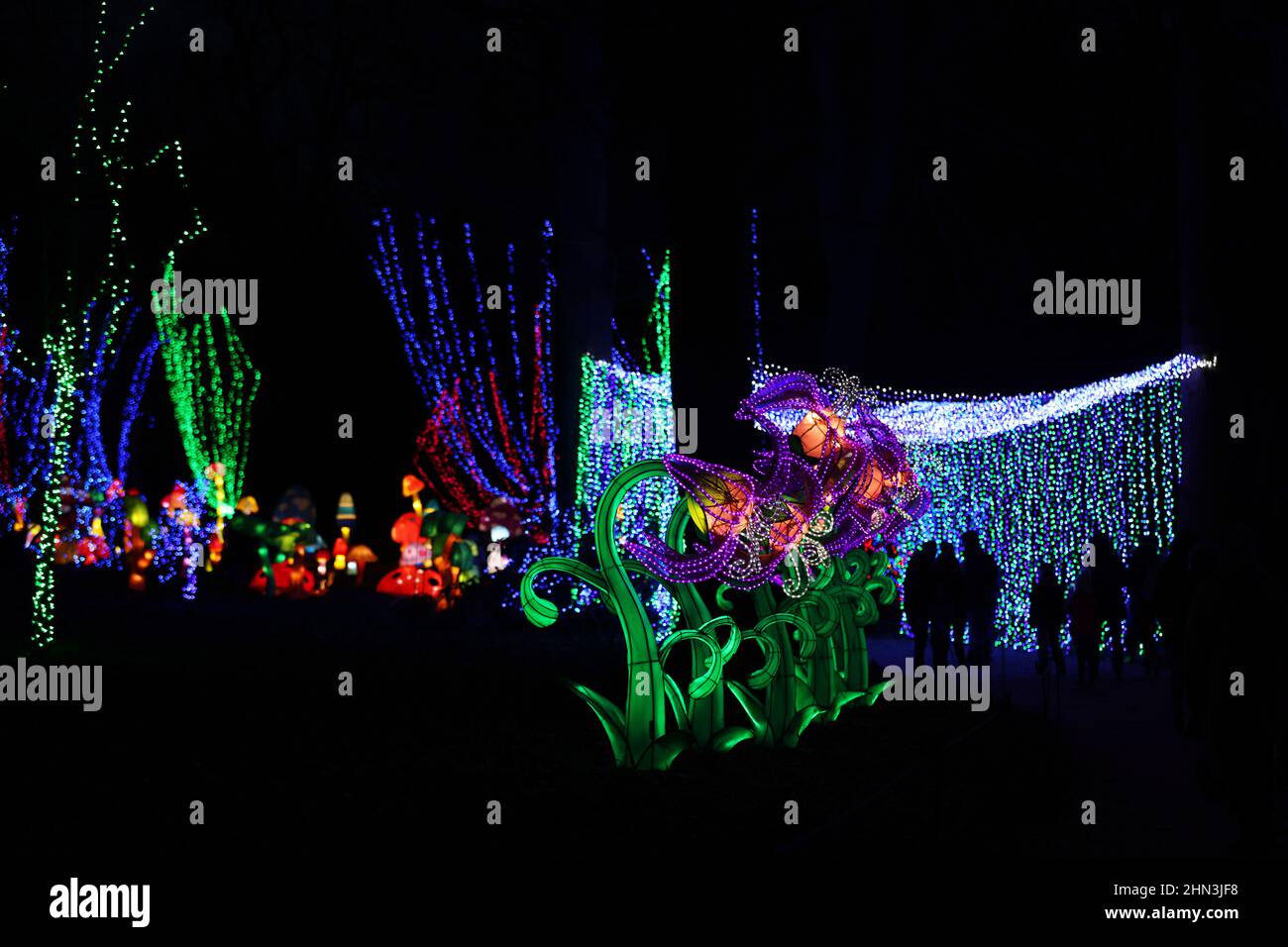 Paris, Feb. 13. 6th Mar, 2022. Illuminated sculptures are on display during a light festival at Thoiry zoo near Paris, France, Feb. 13, 2022. The festival runs till March 6, 2022. Credit: Gao Jing/Xinhua/Alamy Live News Stock Photo