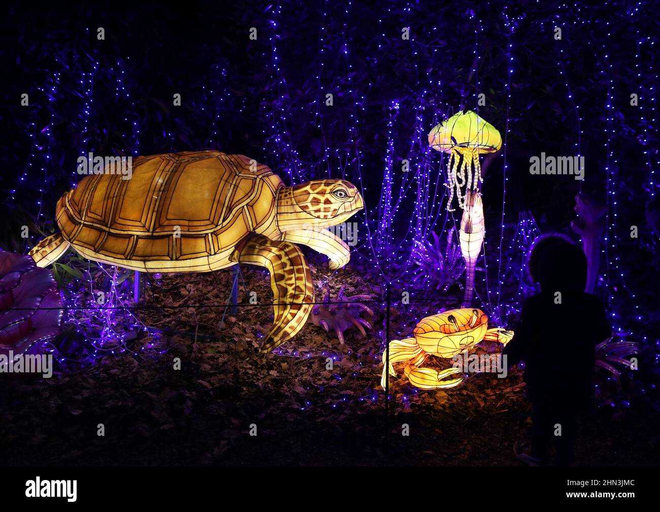 Paris, Feb. 13. 6th Mar, 2022. Illuminated sculptures are on display during a light festival at Thoiry zoo near Paris, France, Feb. 13, 2022. The festival runs till March 6, 2022. Credit: Gao Jing/Xinhua/Alamy Live News Stock Photo