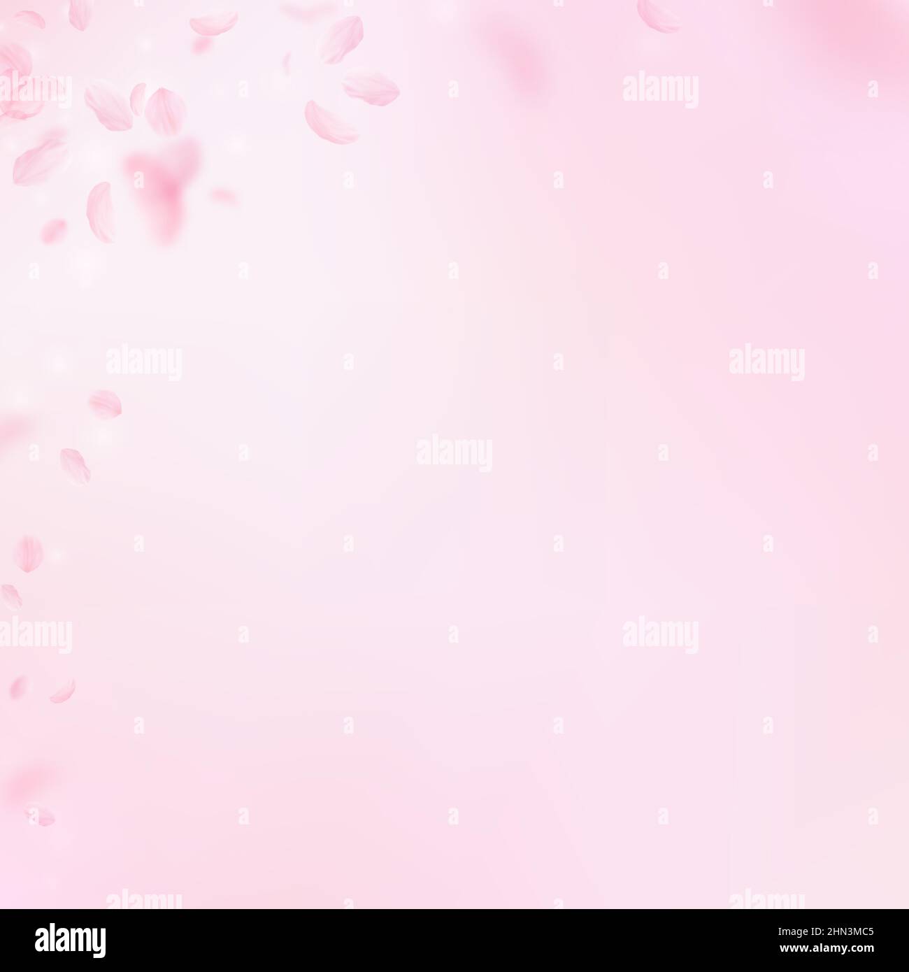 Với những bông hoa hồng trừu tượng này, bạn sẽ khám phá ra một thế giới mới về sắc thái màu hồng đầy sáng tạo và độc đáo. Hãy chuẩn bị để bị choáng ngợp và ấn tượng khi thưởng thức chúng. (With these abstract pink flowers, you will discover a new world of creative and unique shades of pink. Get ready to be overwhelmed and impressed when enjoying them.)