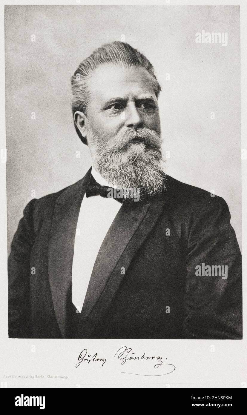 Vintage portrait of Gustav von Schönberg.  Gustav von Schönberg (1839 – 1908) was a German economist. Stock Photo