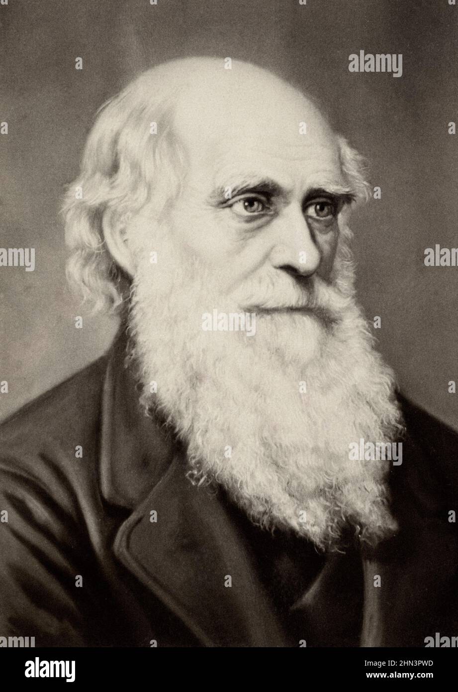 Portrait of Charles Darwin. 1883. By Ernst Hader, (1866–1910).  Charles Robert Darwin FRS FRGS FLS FZS (1809 – 1882) was an English naturalist, geolog Stock Photo