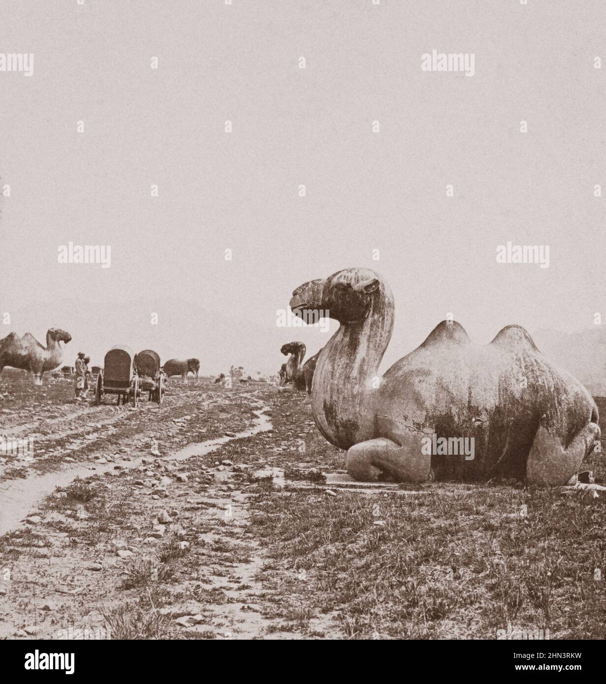 Vintage photo of the Ming Tombs. An avenue of stone animals. North China. November 1902 Stock Photo
