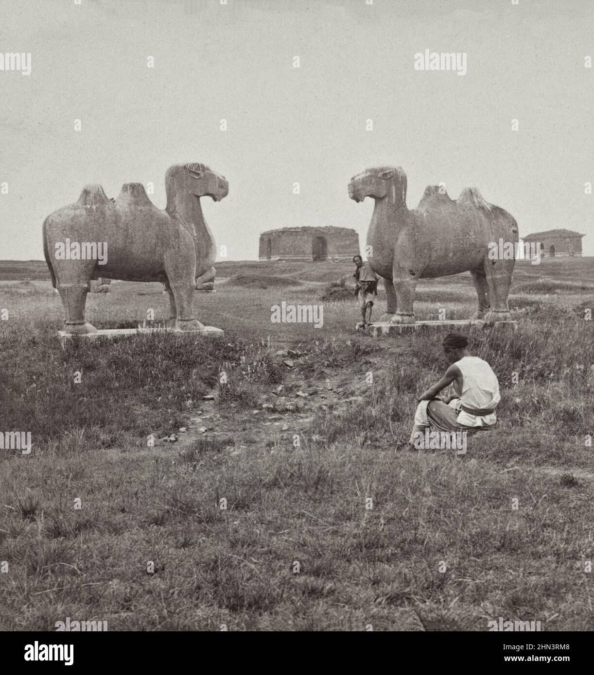 Vintage photo of Ming Tombs of the Kings and hugh camel's figures guarding the approach. Nanking (Nanjing), North China. 1904 Stock Photo