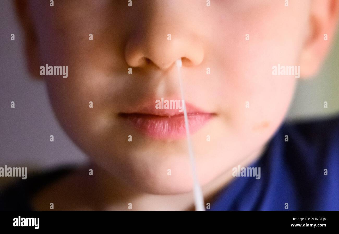 Hanover, Germany. 14th Feb, 2022. ILLUSTRATION - A five-year-old boy inserts a swab stick into his nose for a Corona self-test (posed scene). From February 15, 2022, there will be mandatory Corona testing for daycare centers in Lower Saxony. Children from the age of three will then have to be tested negative three times a week in order to attend a daycare center. Credit: Julian Stratenschulte/dpa/Alamy Live News Stock Photo