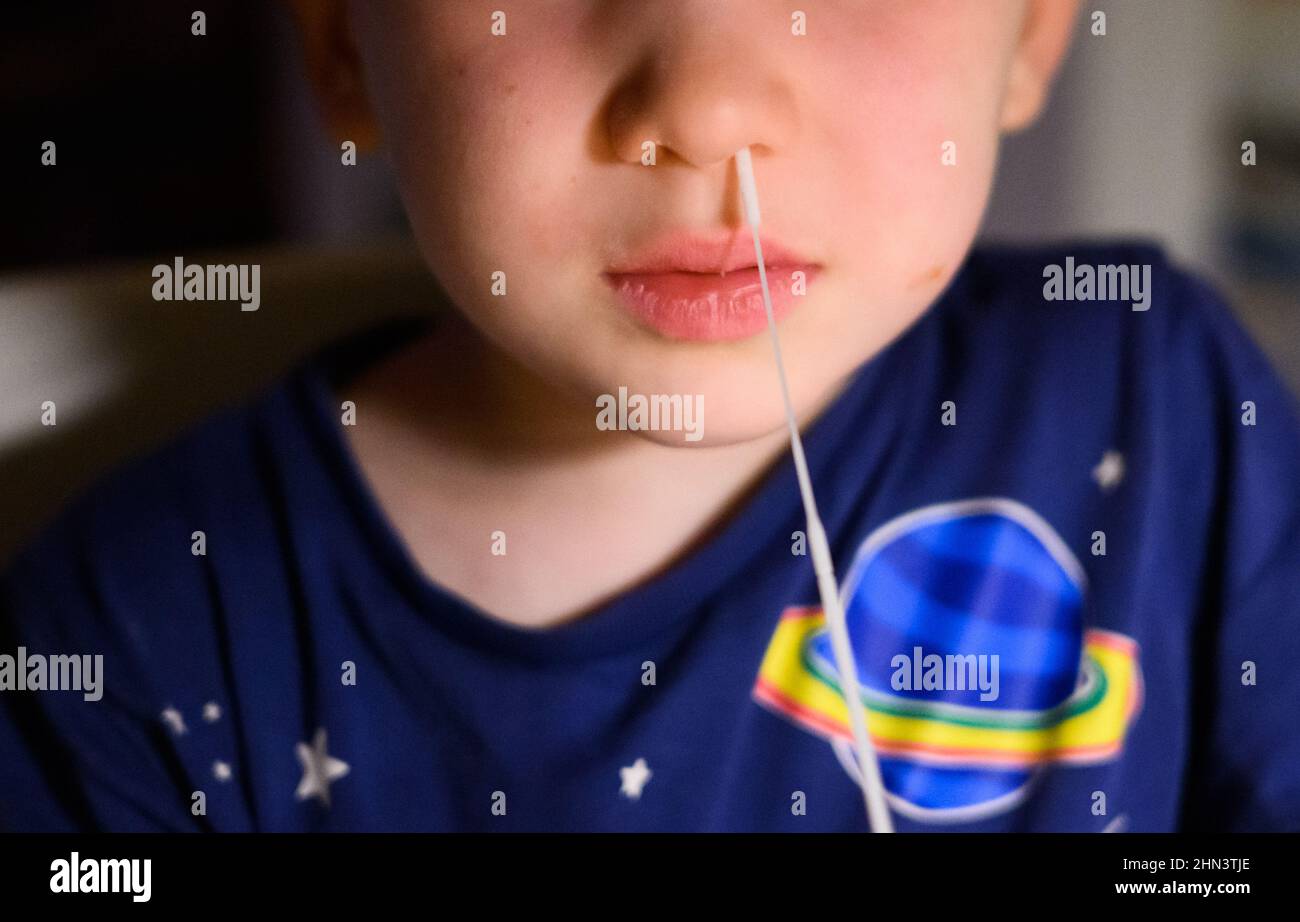 Hanover, Germany. 14th Feb, 2022. ILLUSTRATION - A five-year-old boy inserts a swab stick into his nose for a Corona self-test (posed scene). From February 15, 2022, there will be mandatory Corona testing for daycare centers in Lower Saxony. Children from the age of three will then have to be tested negative three times a week in order to attend a daycare center. Credit: Julian Stratenschulte/dpa/Alamy Live News Stock Photo